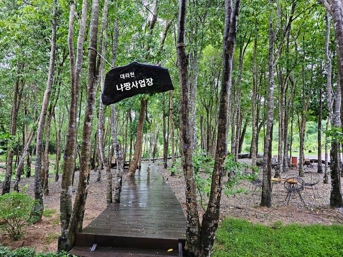 냐짱 (Nha Trang) 농장